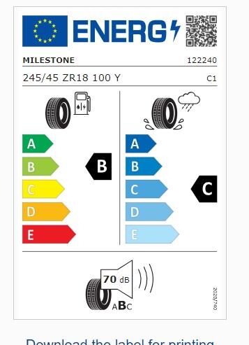 245/45R18 TL 100W REINF. CARMILE SPORT MILESTONE