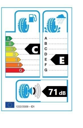 215/65R17 99V COMPETUS WİNTER 2 + LASSA